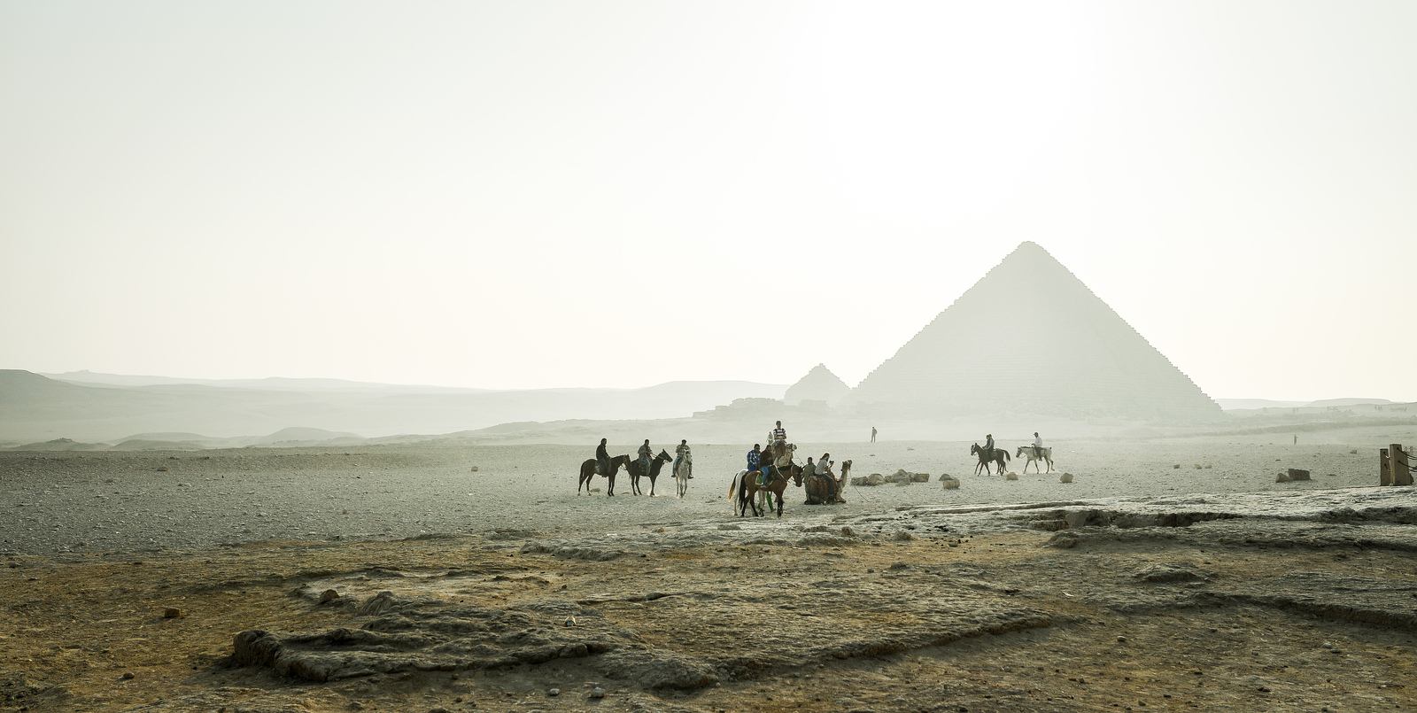 Troupeau de chameaux