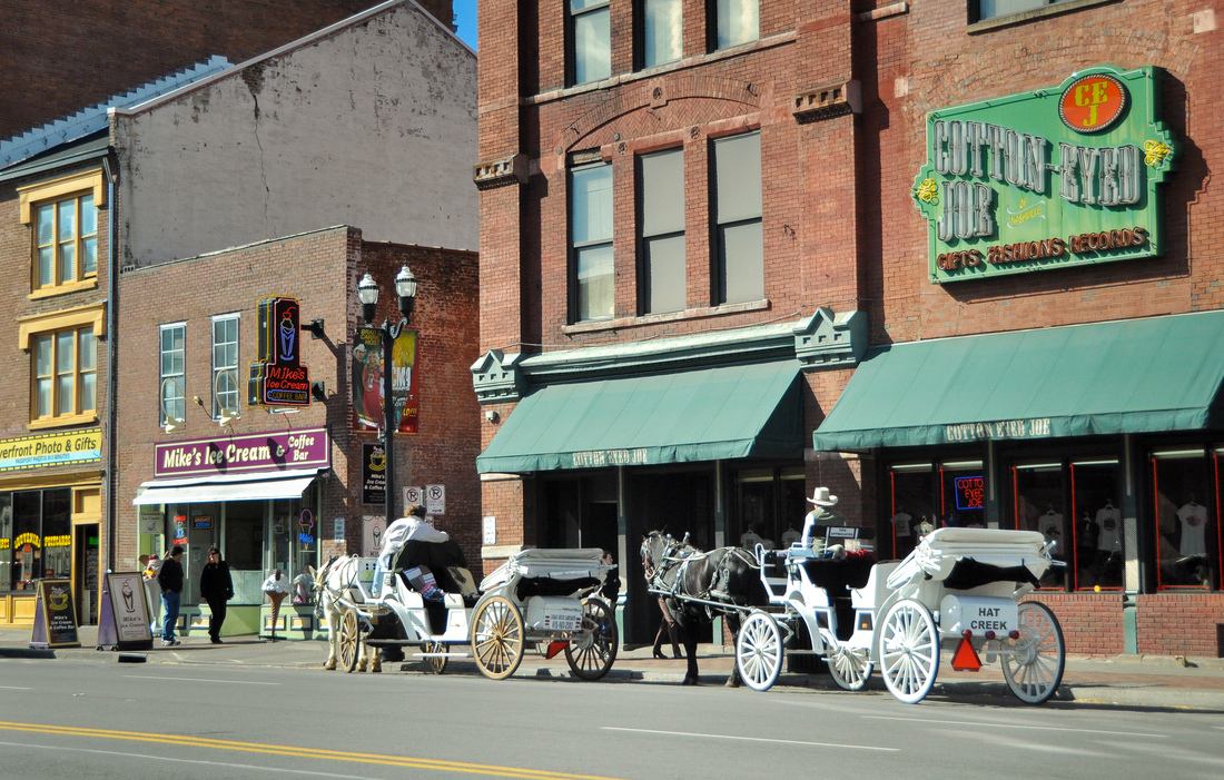 Cotton Byrd Joe, Nashville