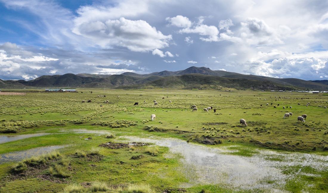 Paysages de Bolivie, entre Puno et Copacabana