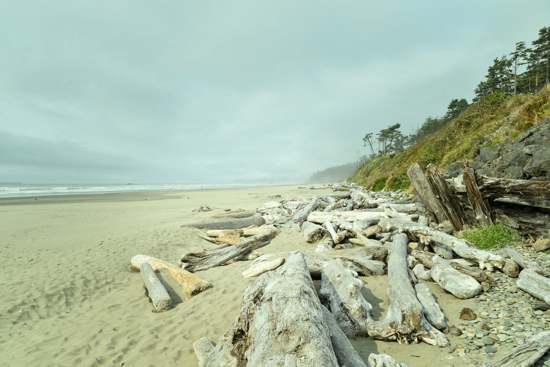 Cote Pacifique, nord ouest des Etats-Unis