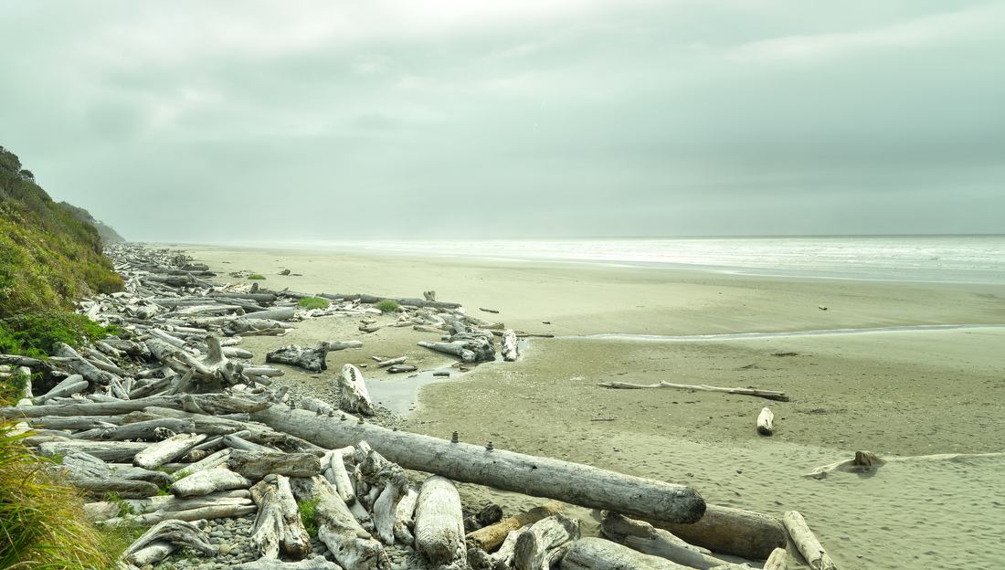 Plage de Kalaloch