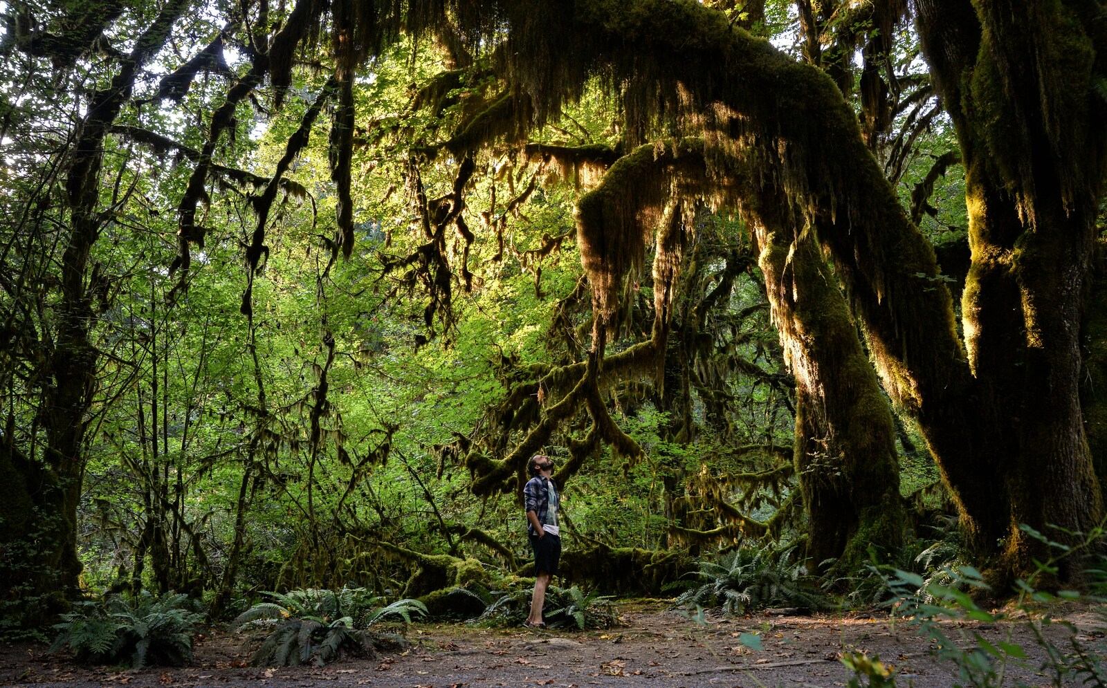 Se sentir tout petit Se sentir tout petit