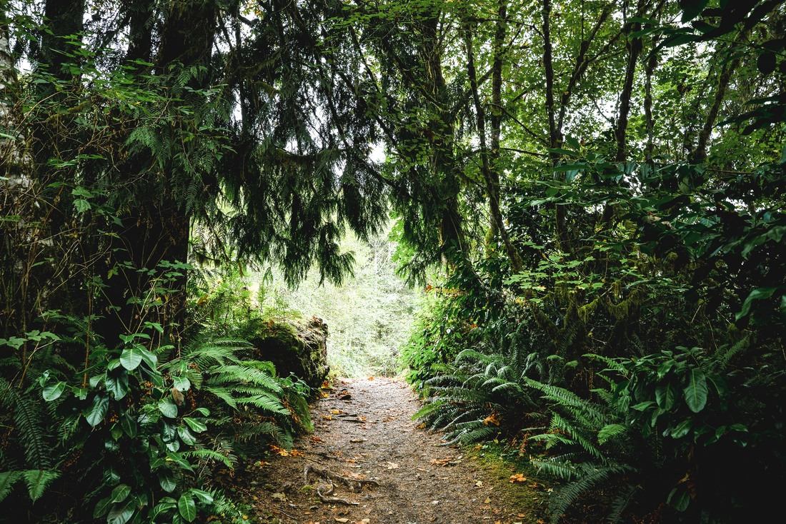 Balade au coeur de la péninsule olympique