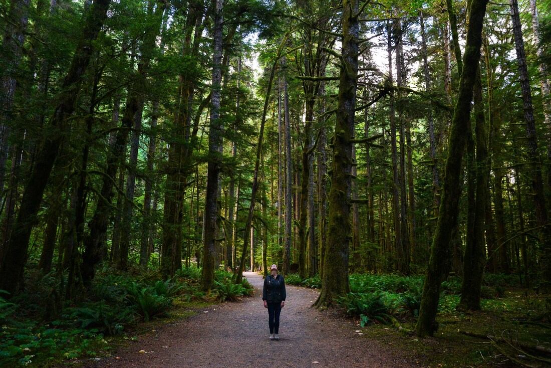 En route pour les Marymere Falls