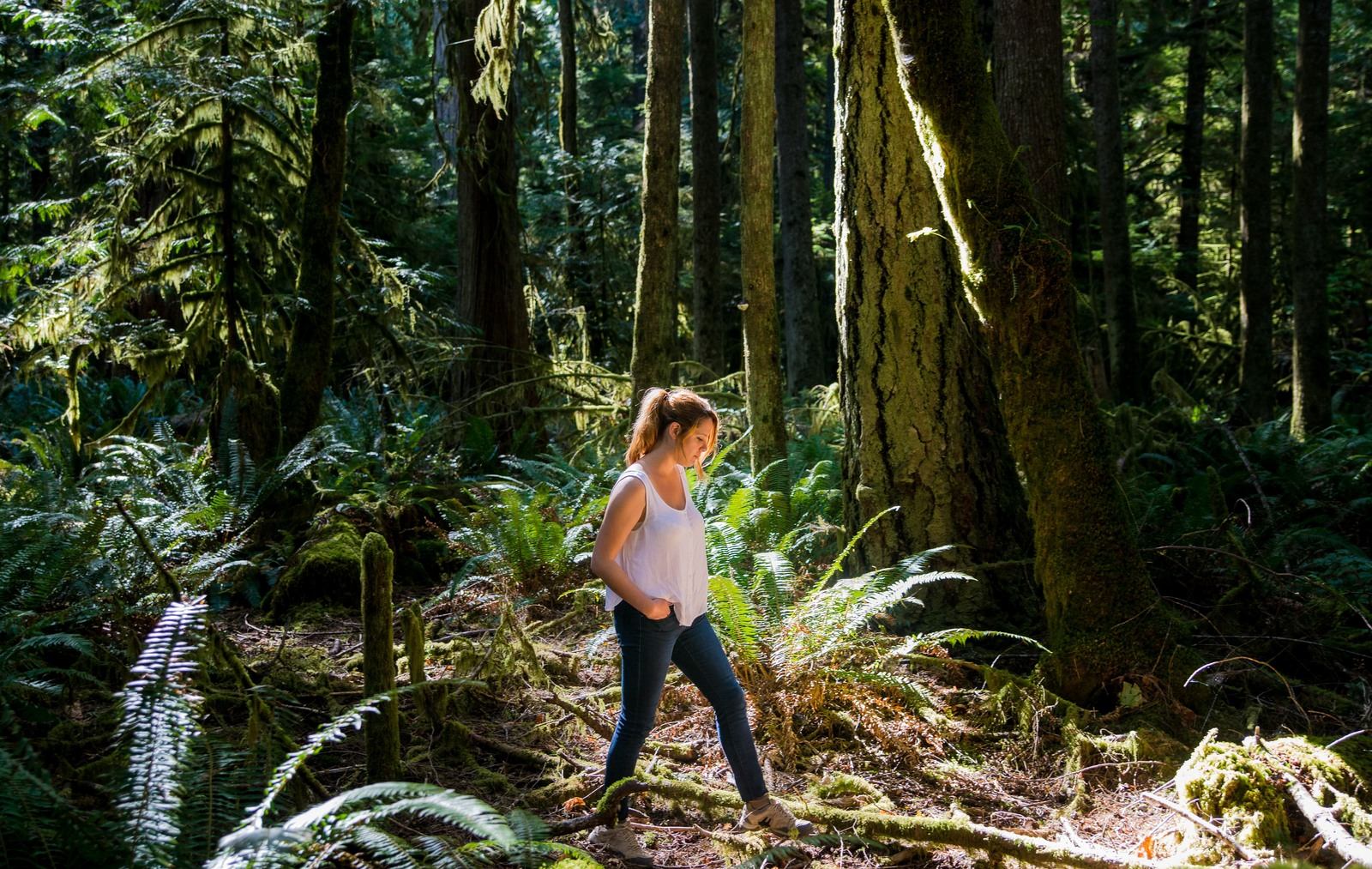 Seule dans les bois de la péninsule olympique Seule dans les bois de la péninsule olympique