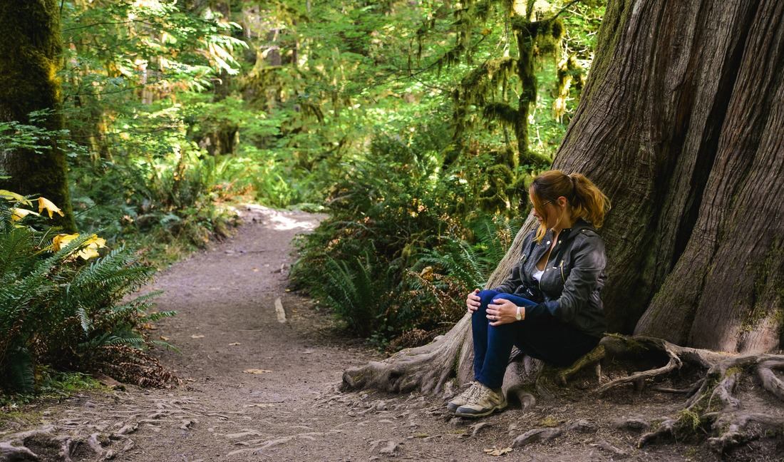Prendre une pause au pied d'un arbre