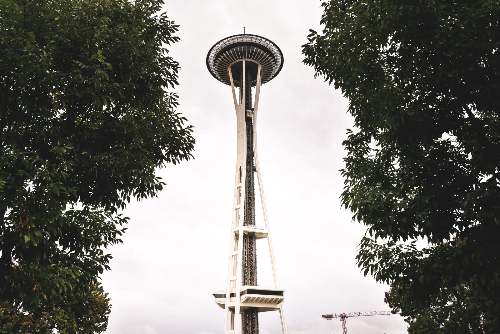 Space Needle entre les arbres
