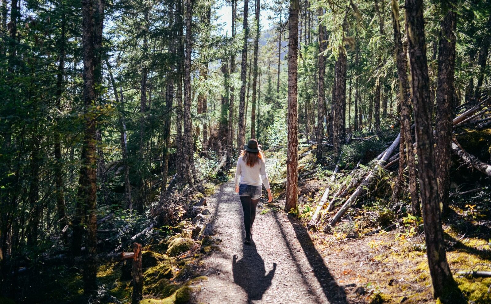 Camper au milieu de la forêt 