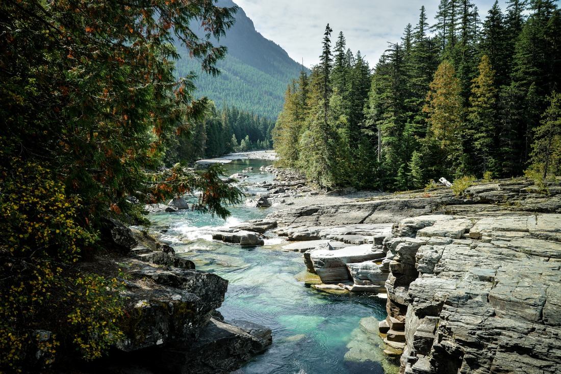 Paysages typiques des parcs nationaux US