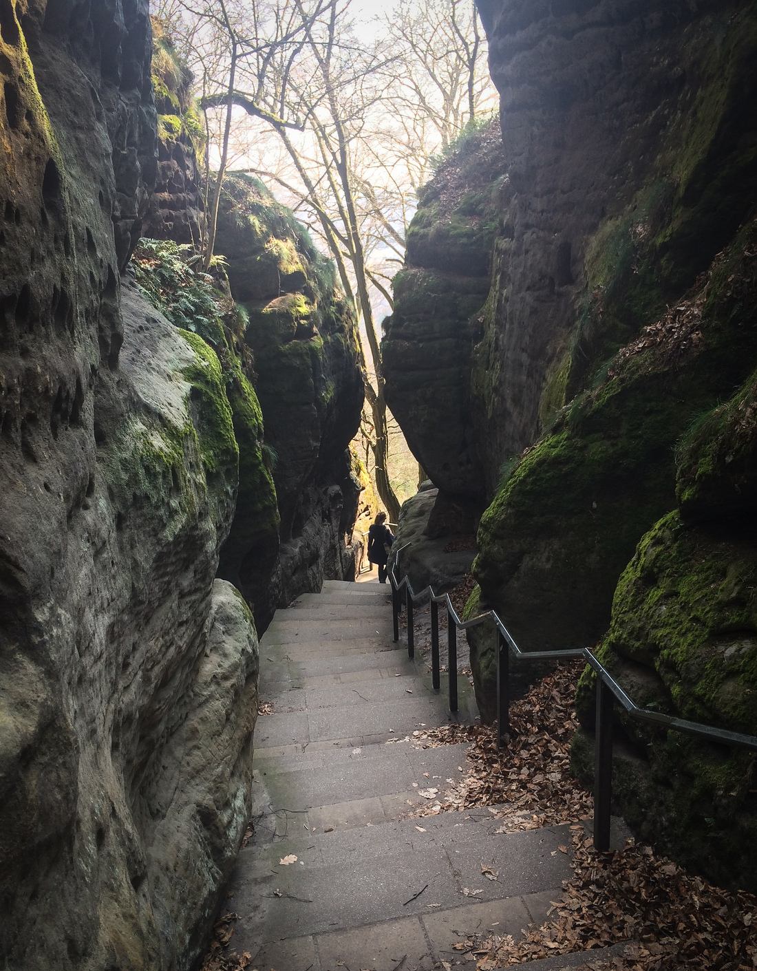 Retour vers Kurort Rathen