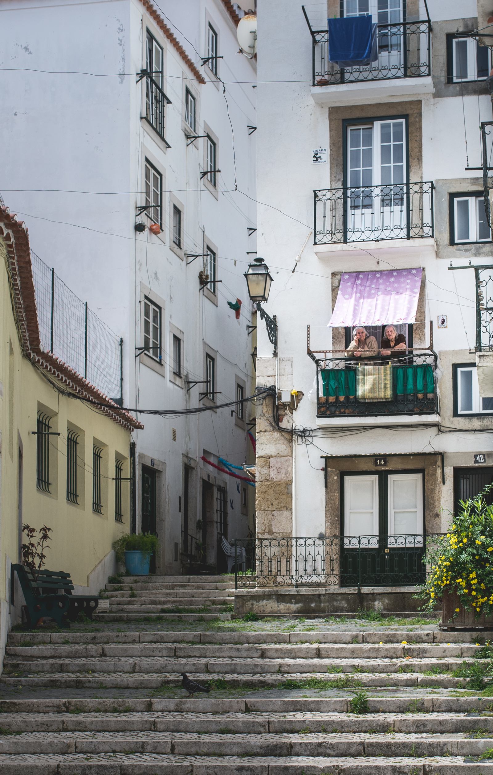 Portugaises à leurs fenêtres 