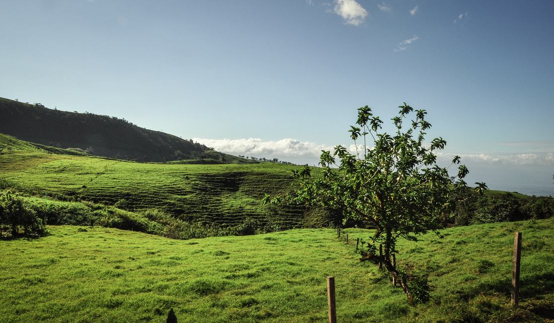 Montagnes Monteverde au Costa Rica