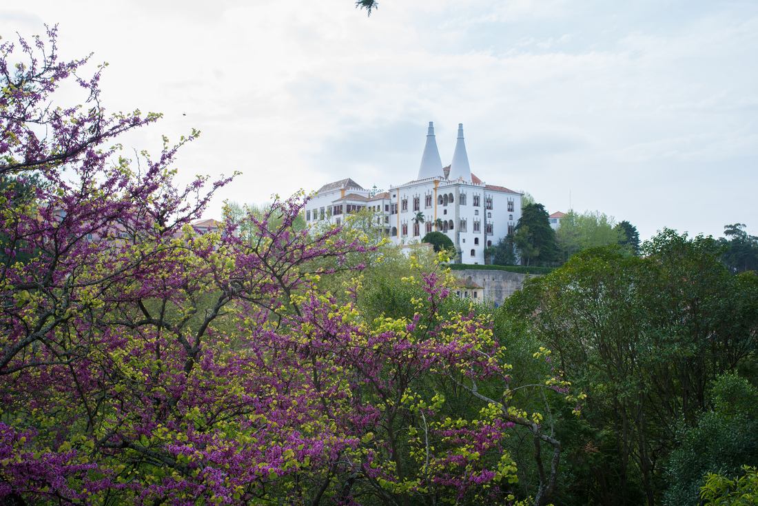 Vue sur le Palais de Sintra