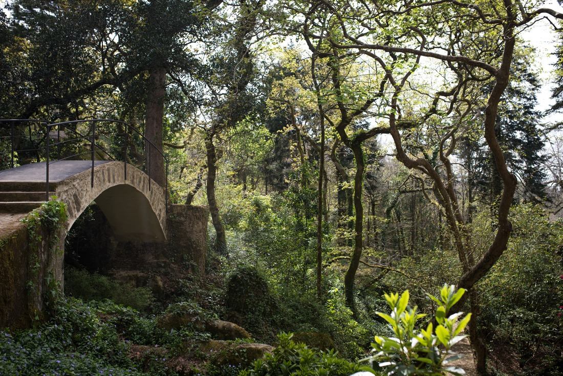 Les sublimes jardins de Pena 