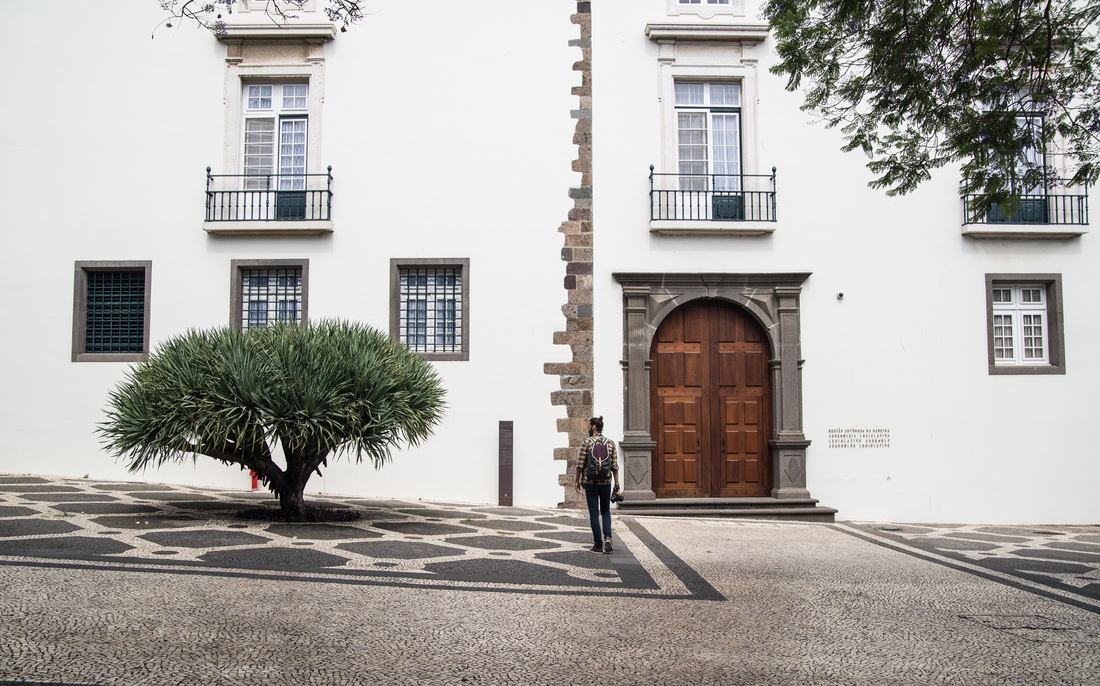 Se promener dans le Jardin Tropical de Funchal 