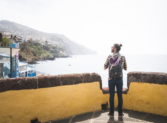 Admirer la vue depuis la Forteresse