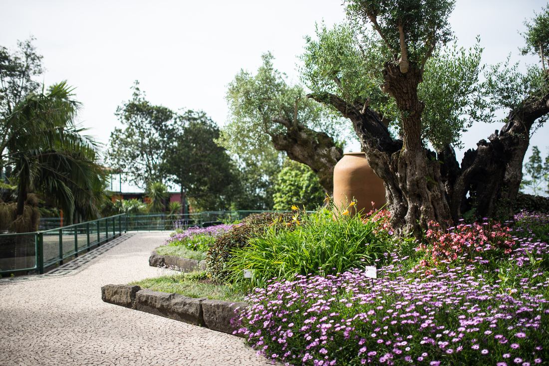 A l'entrée des jardins 