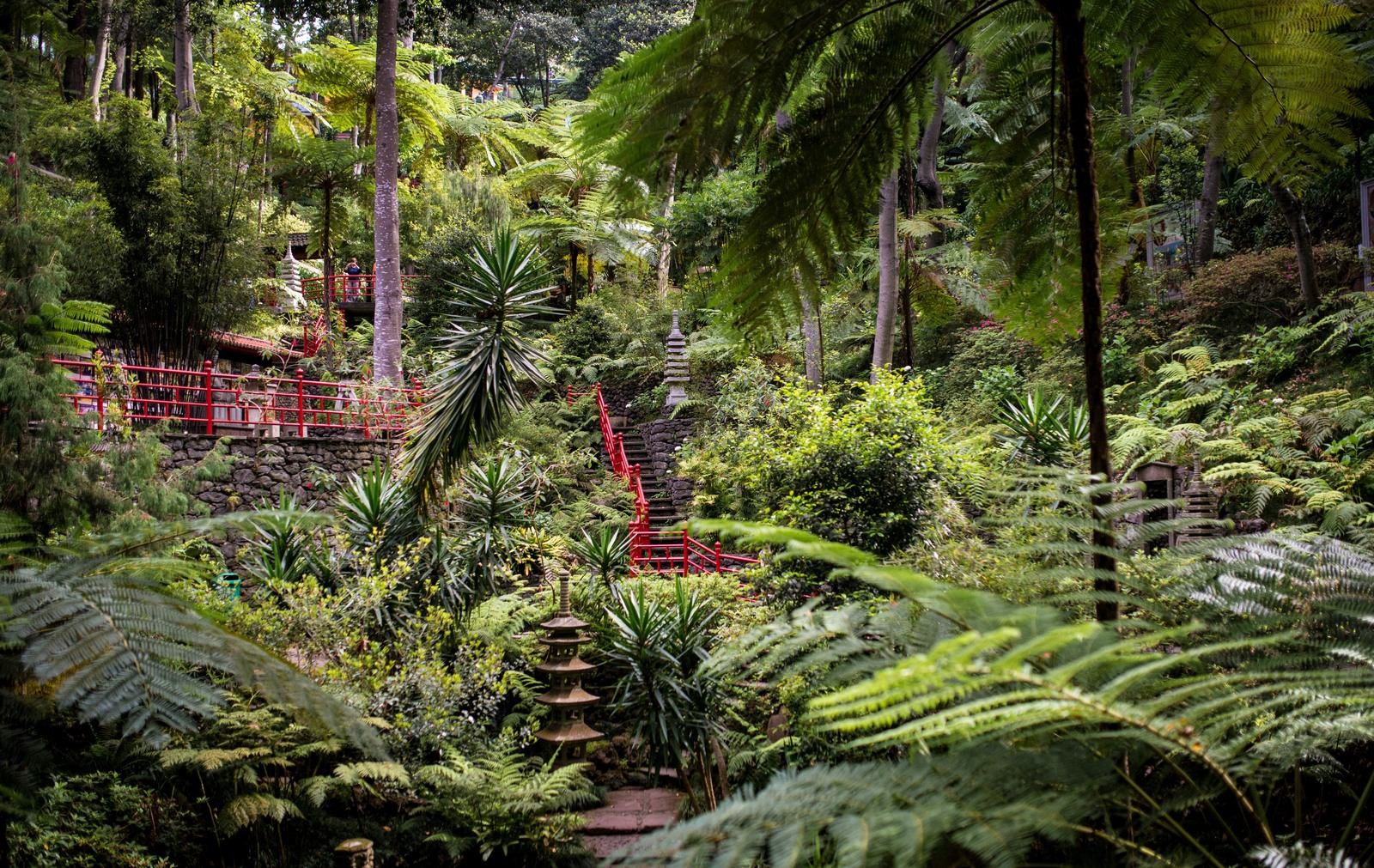 Se perdre dans les jardins tropicaux