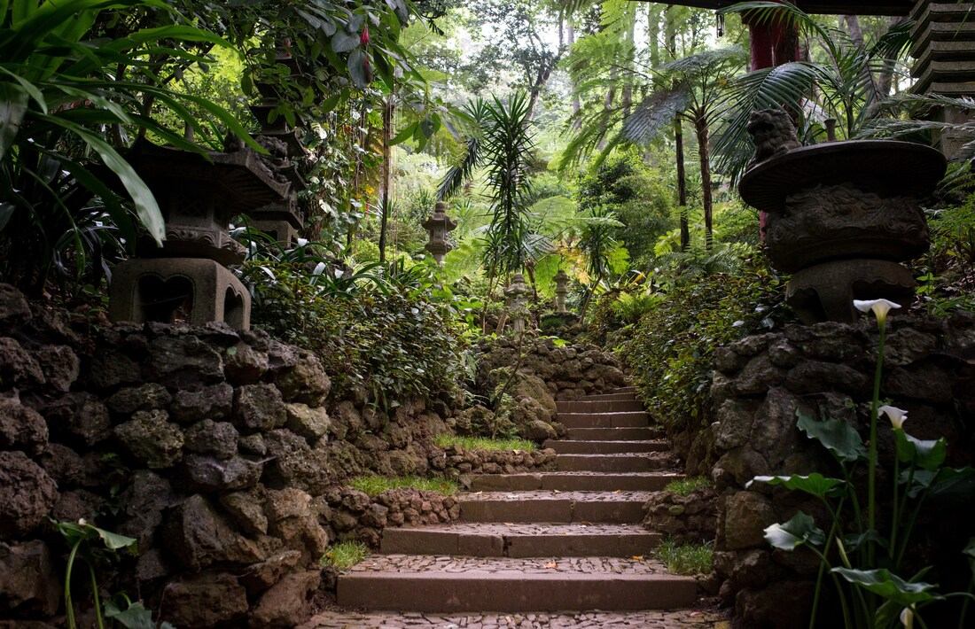Décoration du Jardin Tropical de Funchal