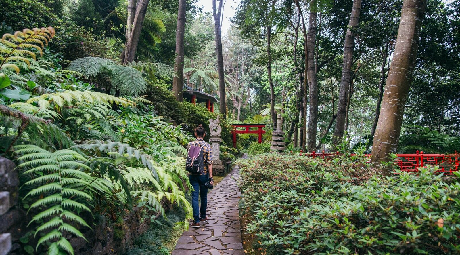 Se balader dans le Jardin Tropical