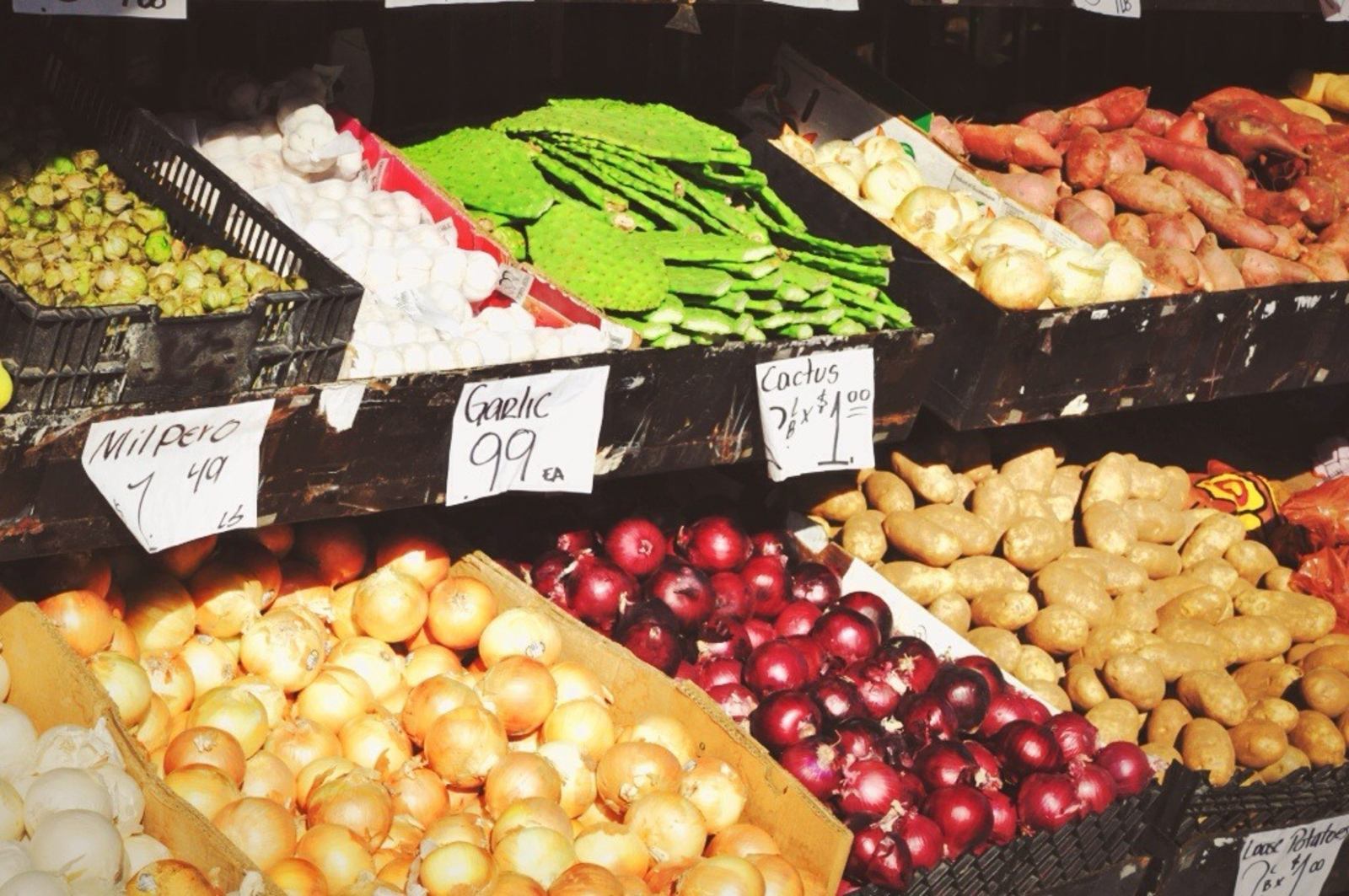 Etal de marché du quartier latino de San Francisco