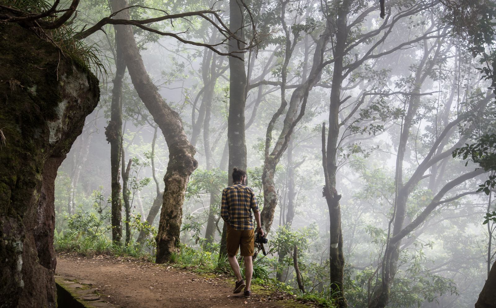 Seb dans la Laurisilva
