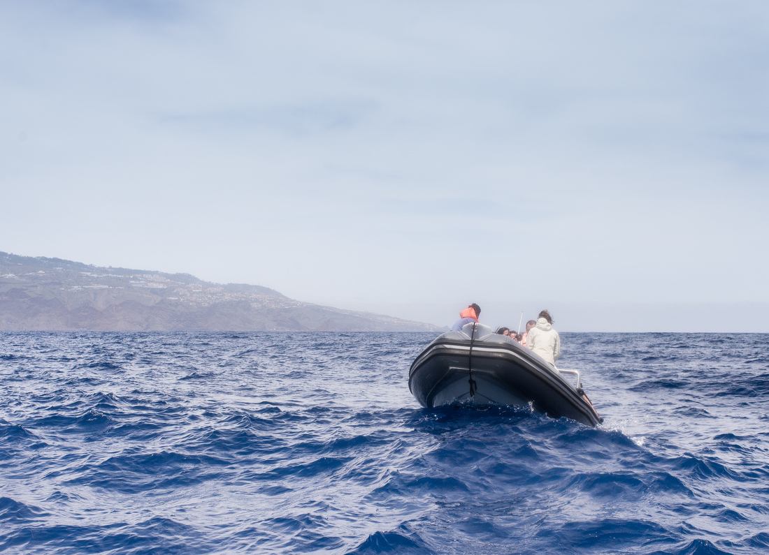 Notre embarcation pour aller voir des dauphins