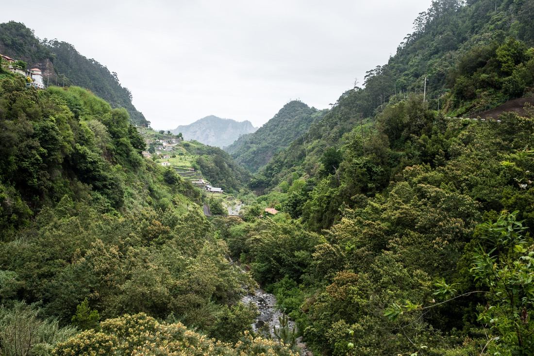 Paysage typique du centre de l'ile de Madère