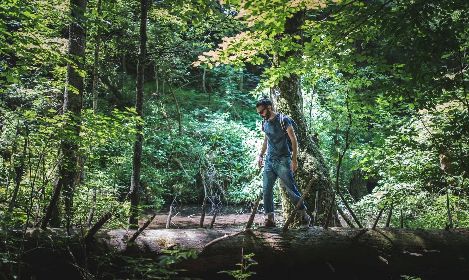 S'amuser dans la foret 
