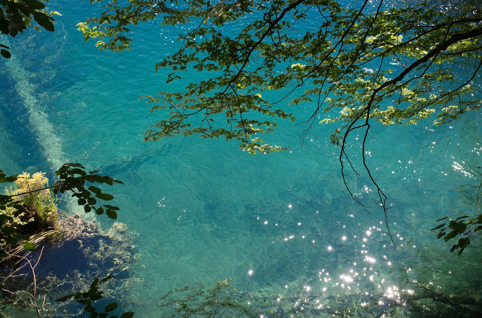 La couleur bleue des lacs de Plitvice