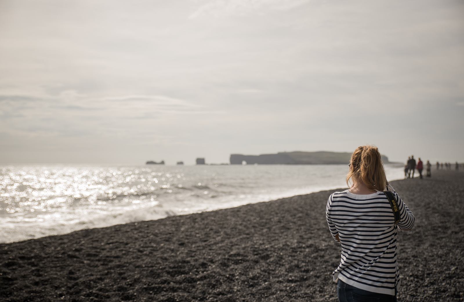 Sur la plage de sable noir d'Islande