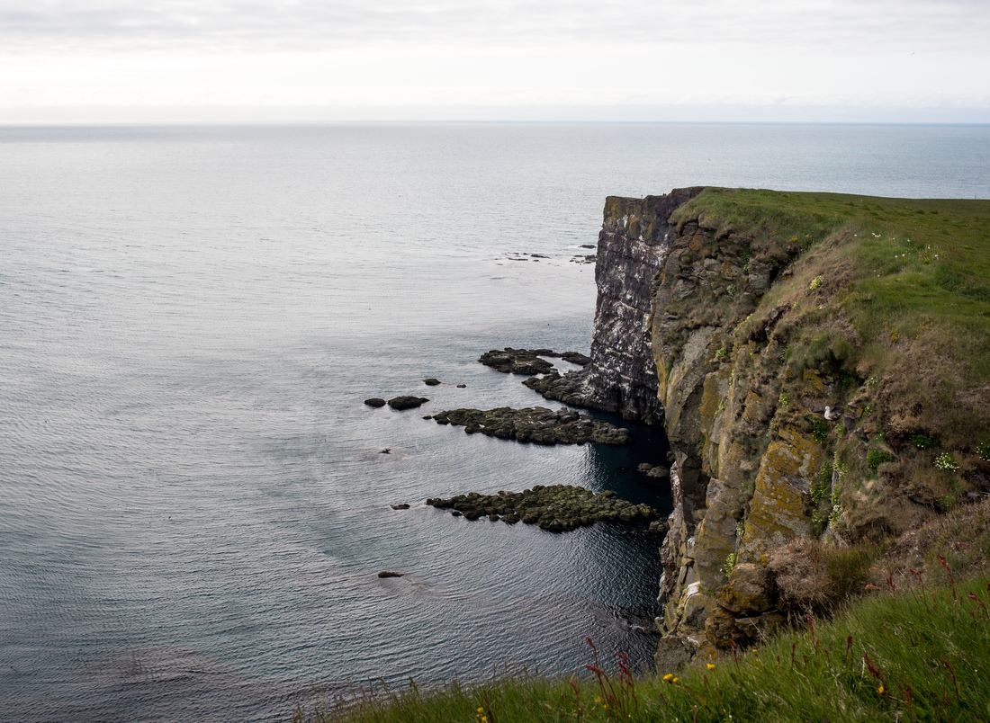 Immenses falaises de Látrabjarg