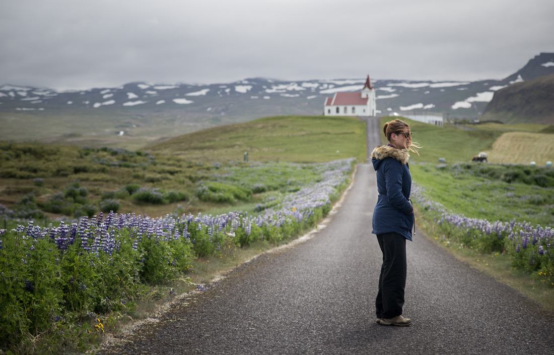 Petite église et lupins
