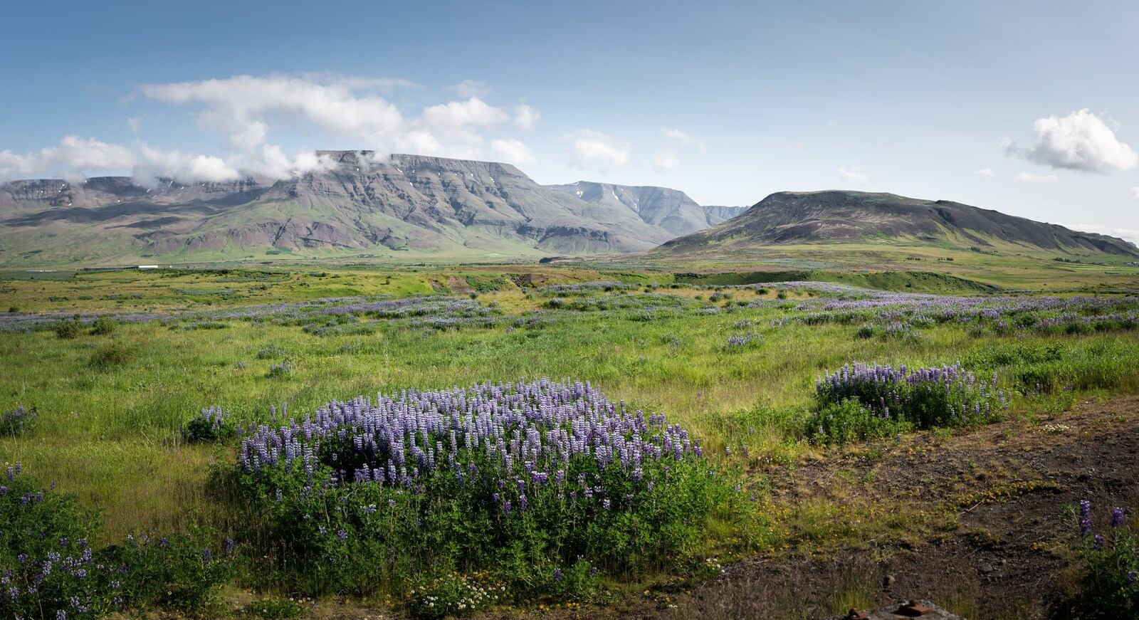 Paysage en partant de Reykjavik