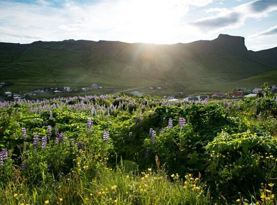 La côte sud de l'Islande jusqu'à Vik