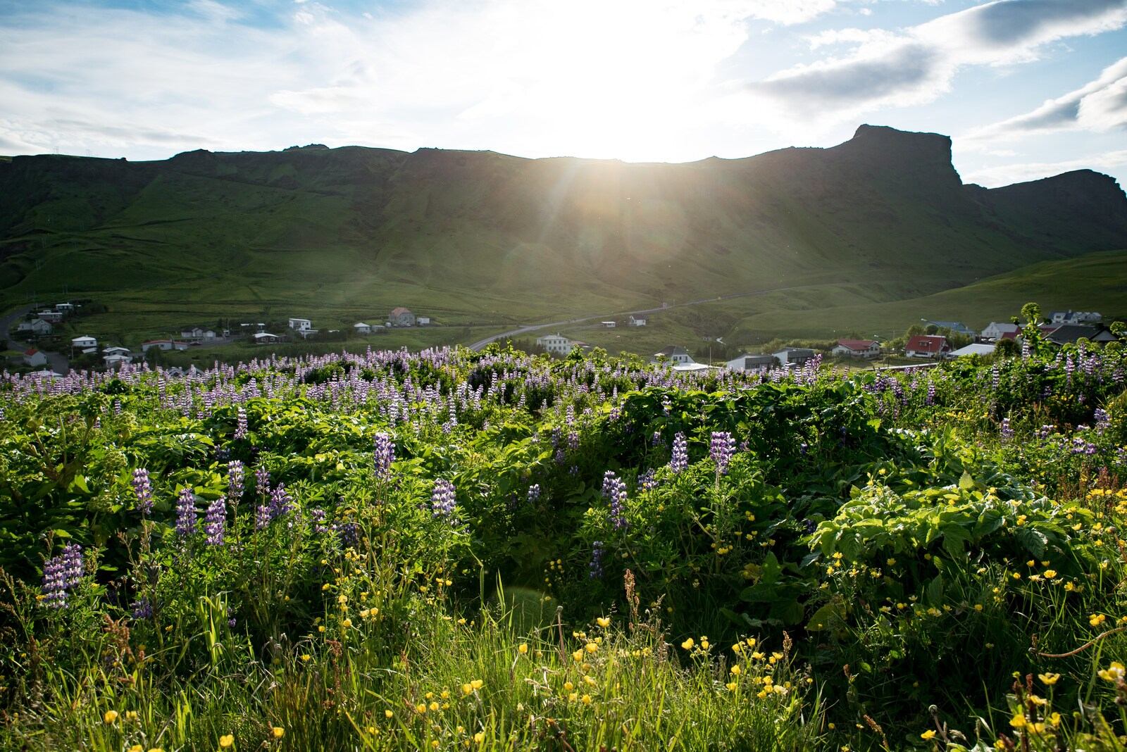 Depuis les hauteurs de Vik