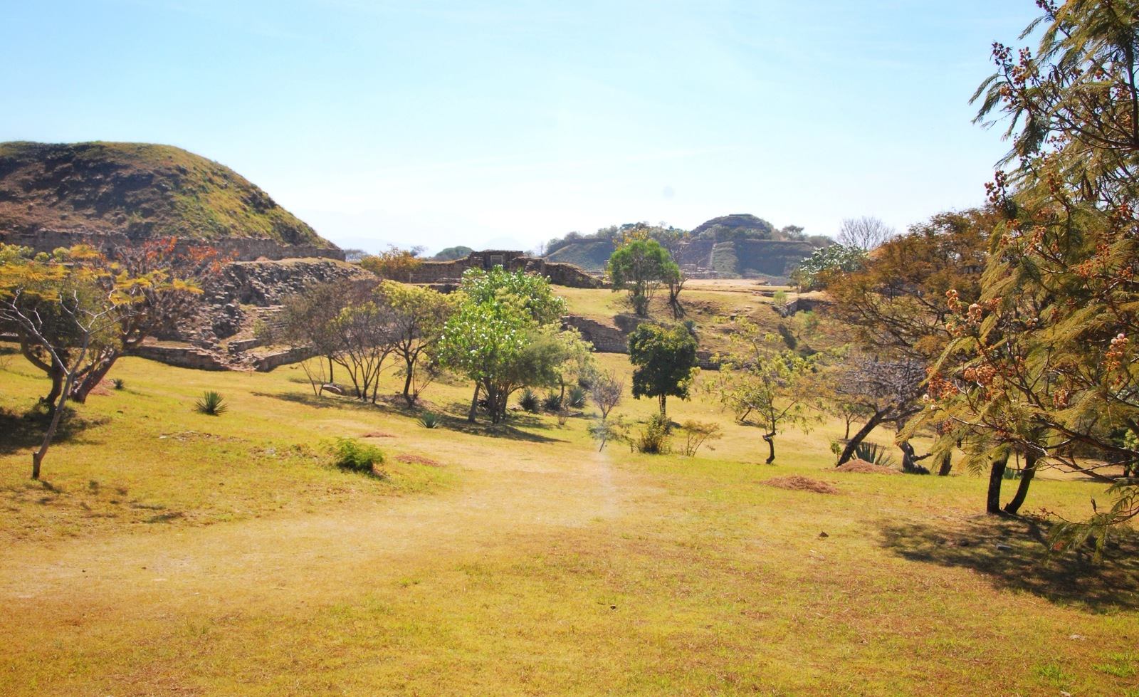 Ruines de Monte Alban