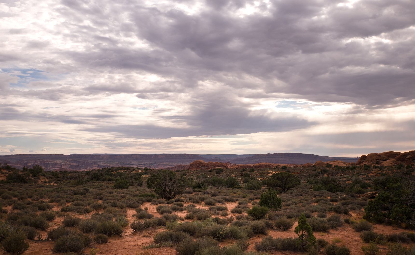 Petrified Dunes 