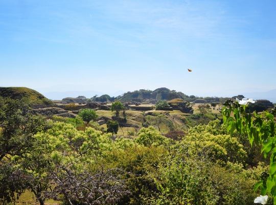 Les ruines de Monte Alban à Oaxaca