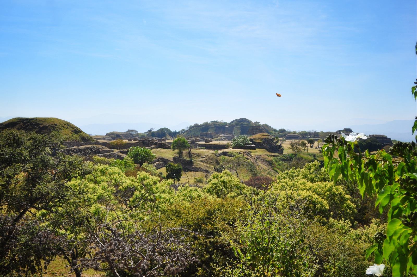 Panorama de Monte Alban