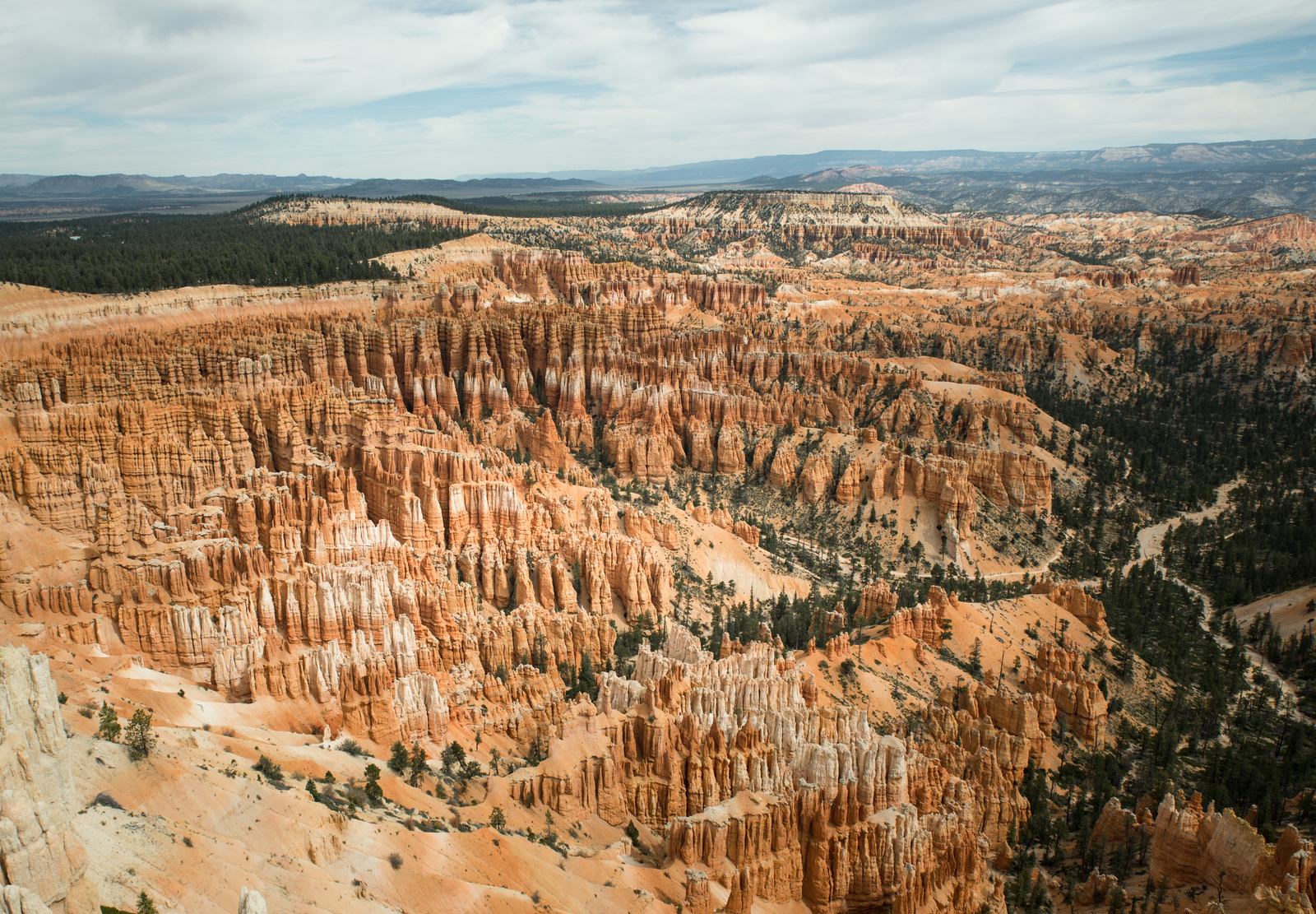 Vue sur les célèbres hoodoos Vue sur les célèbres hoodoos