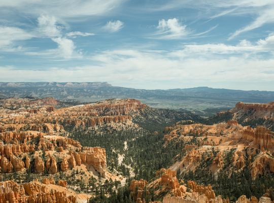 Découverte de Bryce Canyon et ses célèbres hoodoos