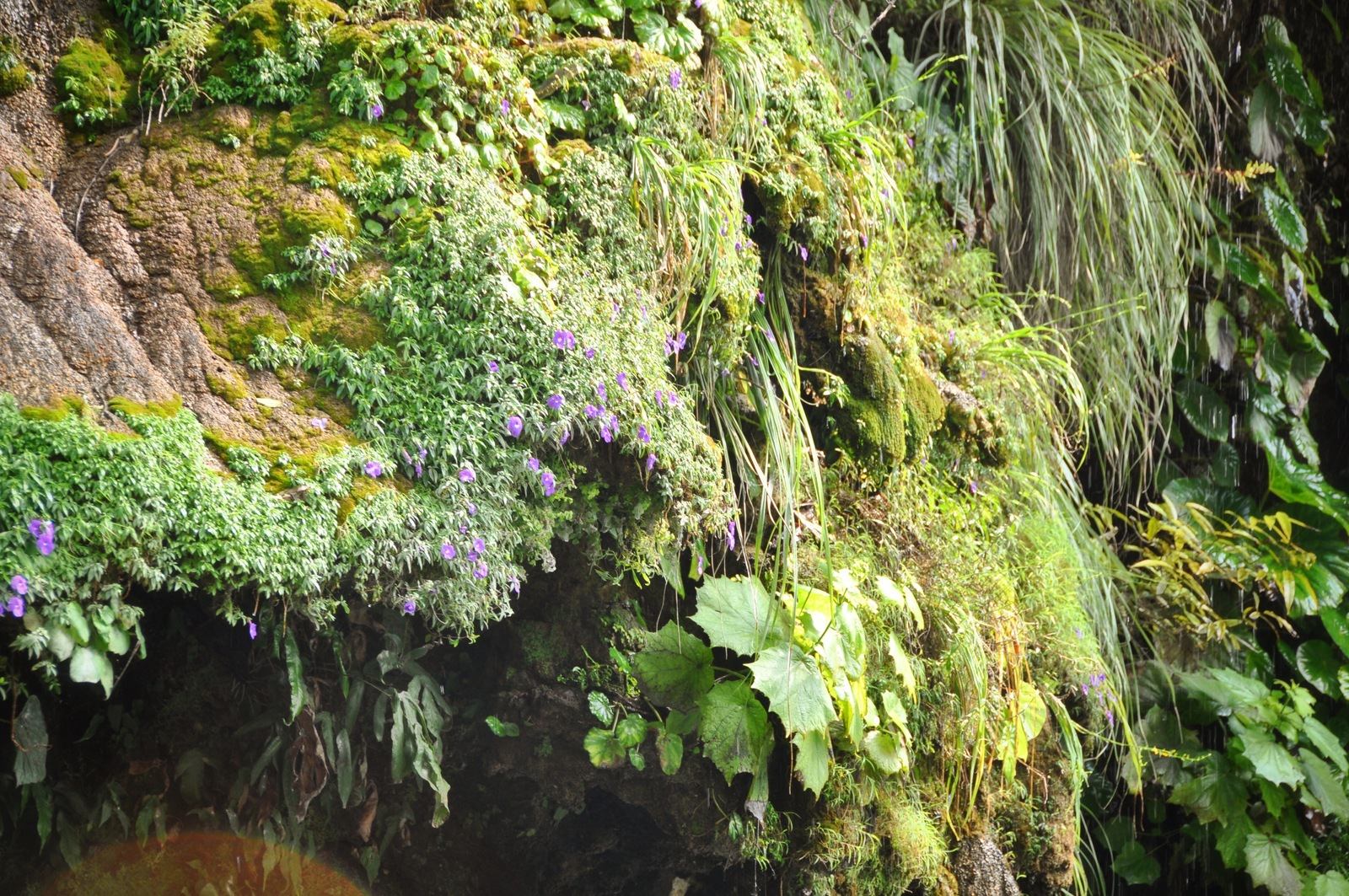Cascade du Canyon del Sumidero