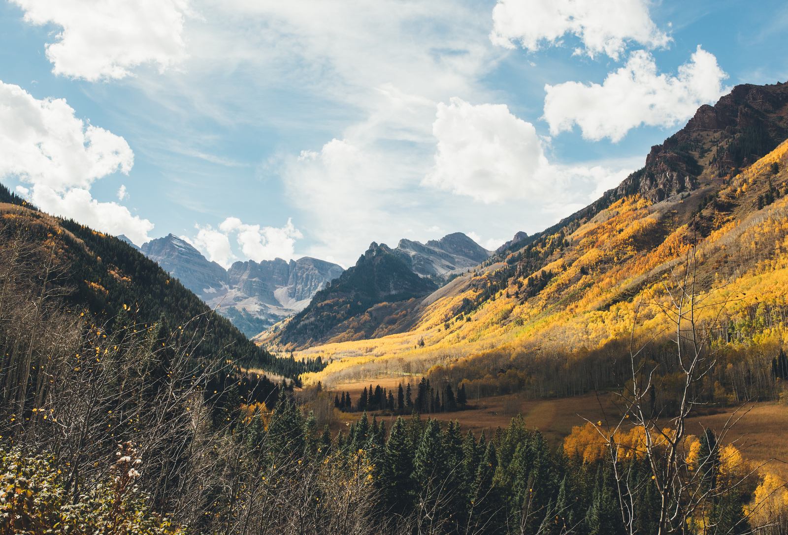 Paysage d'automne Paysage d'automne