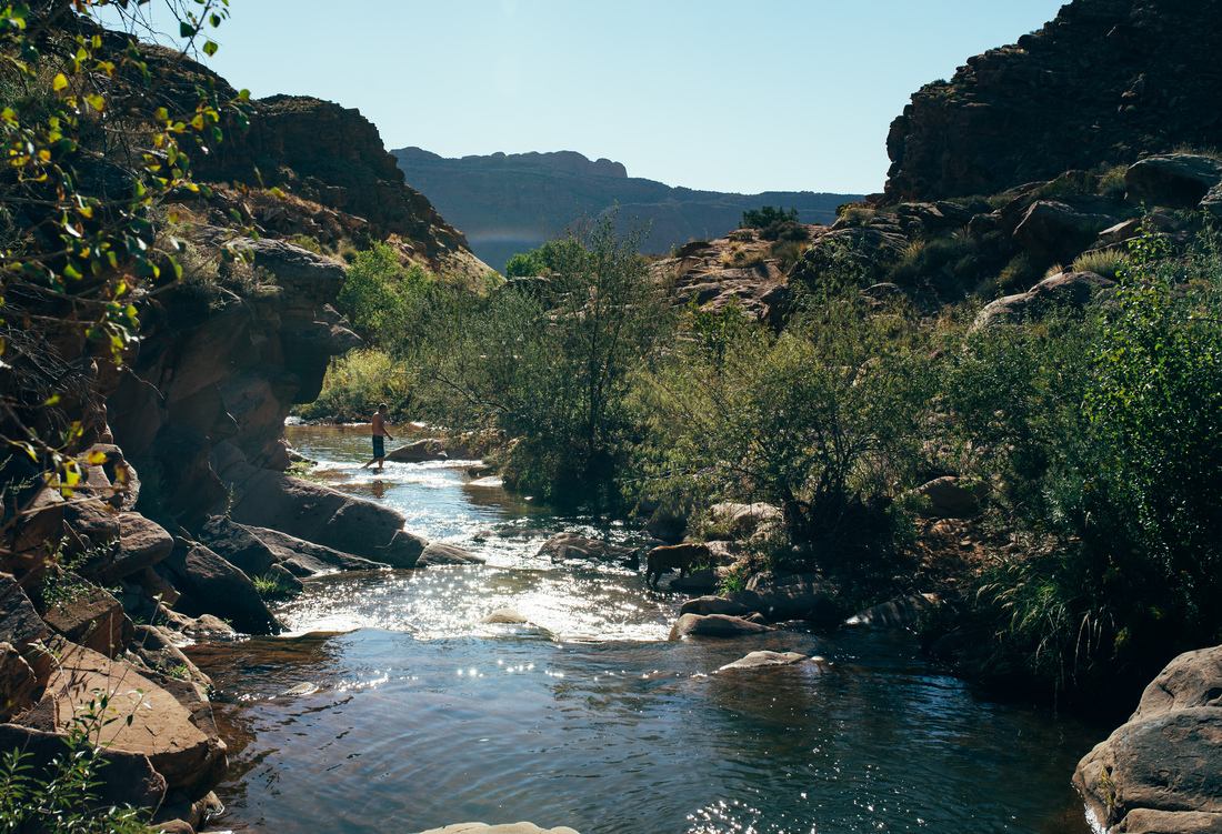 Se baigner dans Mill Creek