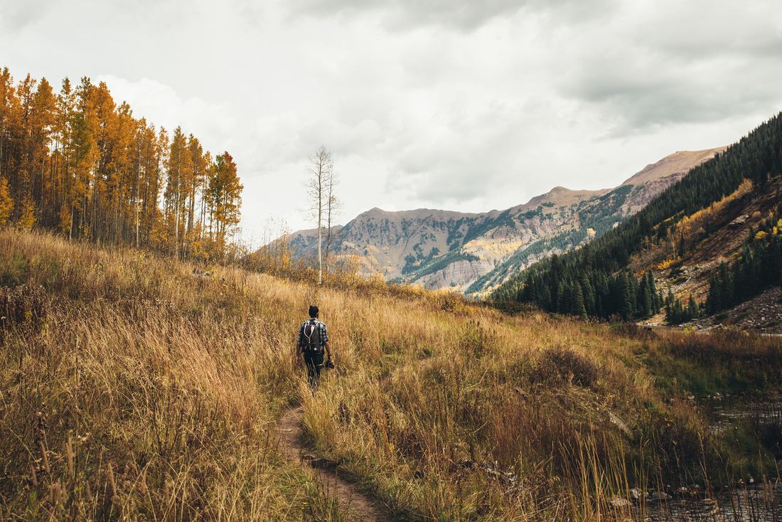 Se perdre dans les herbes hautes 