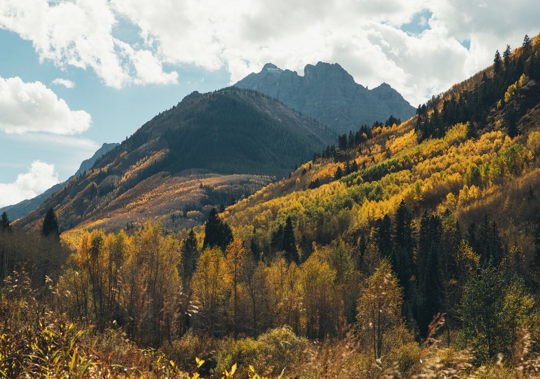 Belles couleurs de l'automne 