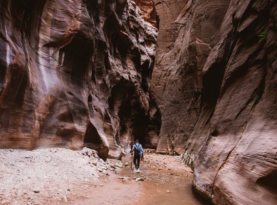 Le parc de Zion : les Narrows et l'Angels Landing Trail 