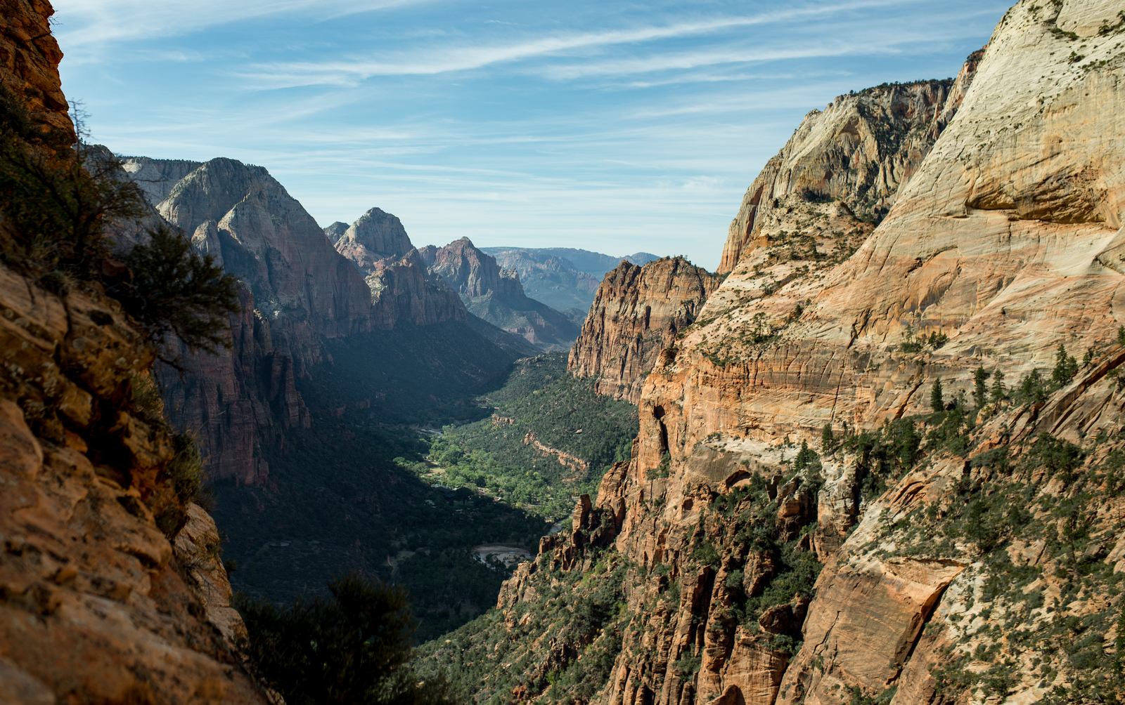 Panorama de Zion National Park