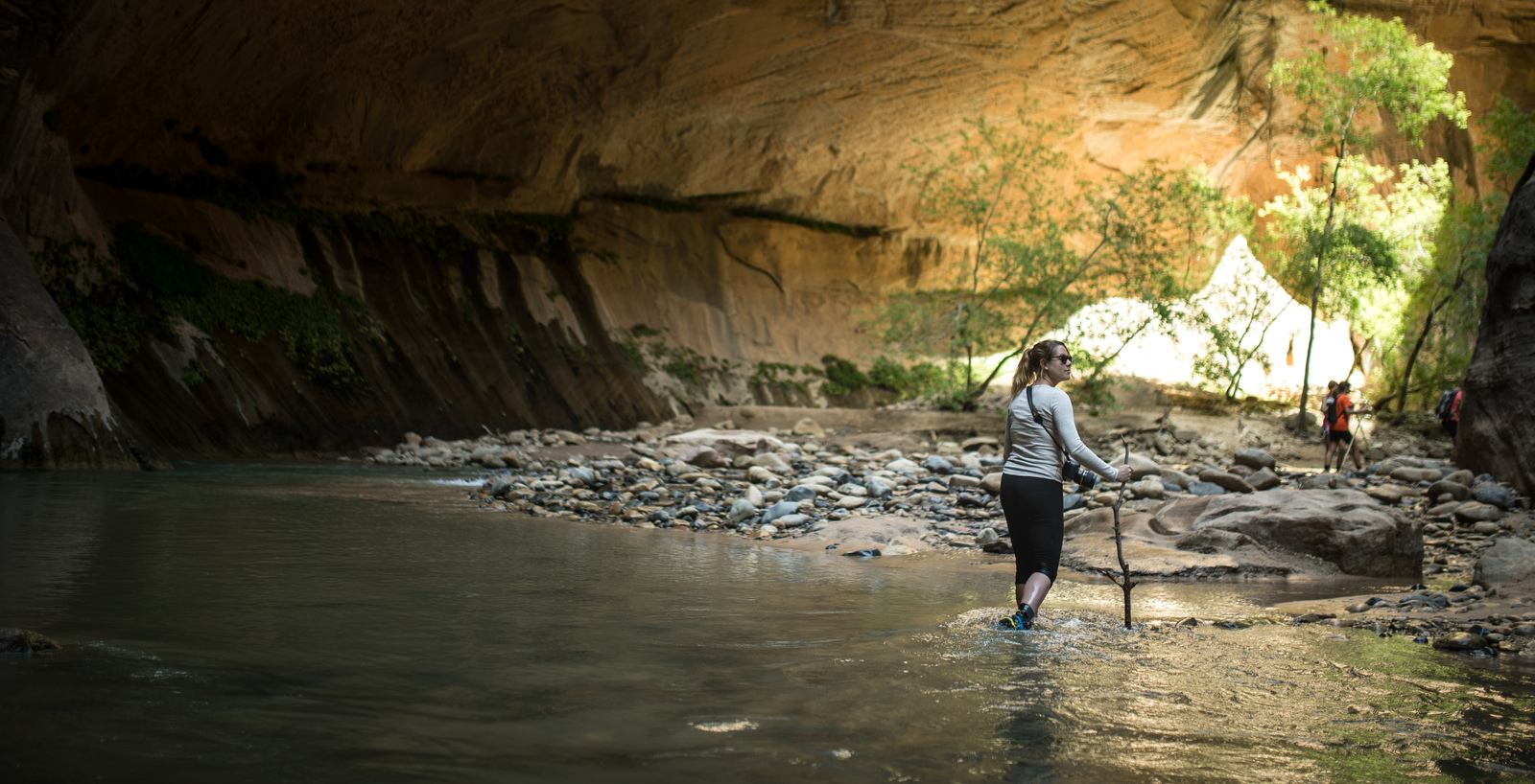 Paysages des Narrows, à Zion Paysages des Narrows, à Zion